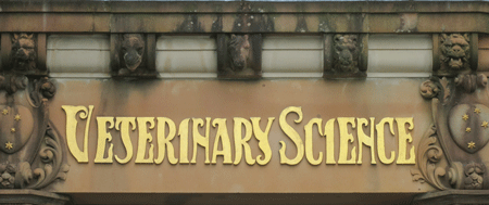 vetscience[c]alphabetcitypress