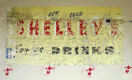 birds[c]alphabetcitypress