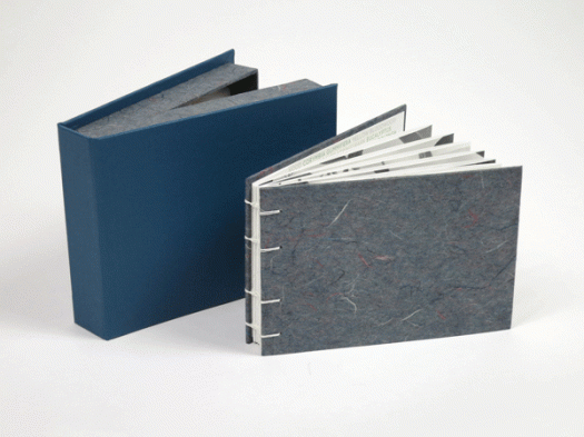 LCWFclosed[c]alphabetcitypress