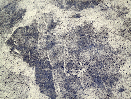 footpath[c]alphabetcitypress