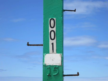 greenpost[c]alphabetcitypress