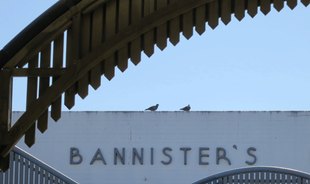 bannisters[c]alphabetcitypress