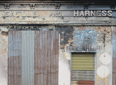 saddleharness[c]alphabetcitypress