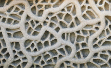 sandstonemaze[c]alphabetcitypress