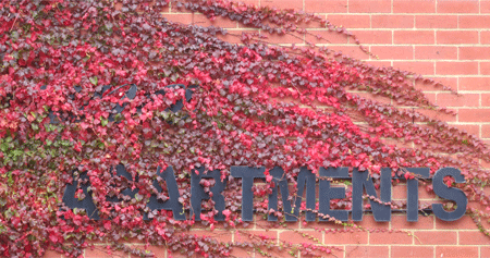 apartments[c]alphabetcitypress