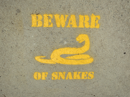beware[c]alphabetcitypress