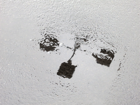 reflection[c]alphabetcitypress