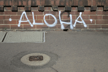 newtownaloha[c]alphabetcitypress