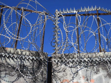 barbedwire[c]alphabetcitypress