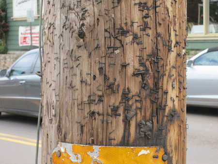 staples[c]alphabetcitypress