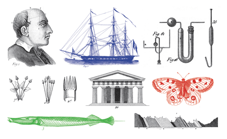 classicaledmakula[c]alphabetcitypress