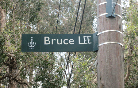 brucelee[c]alphabetcitypress