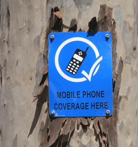 phone[c]alphabetcitypress