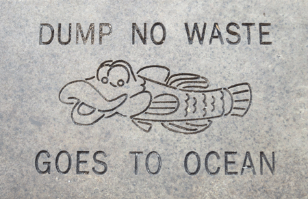 dumpfish[c]alphabetcitypress