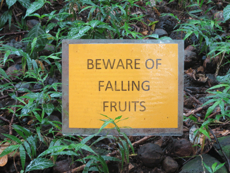 fallingfruit[c]alphabetcitypress