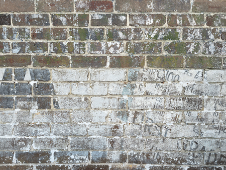 ghostsign[c]alphabetcitypress